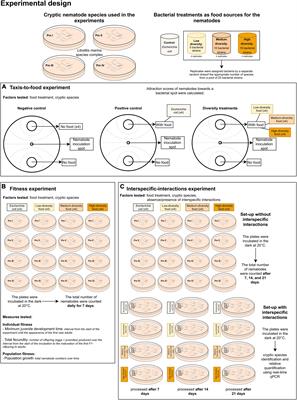 A Multi-Faceted Approach to Understand How Resource Diversity Can Mediate the Coexistence of Cryptic Marine Nematode Species